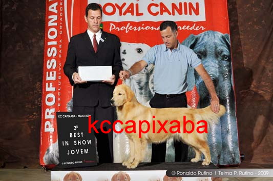 Clique sobre a foto para fechar